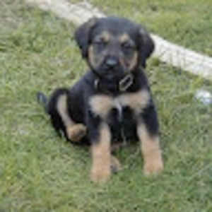 Meet your Posher, Janney lupita